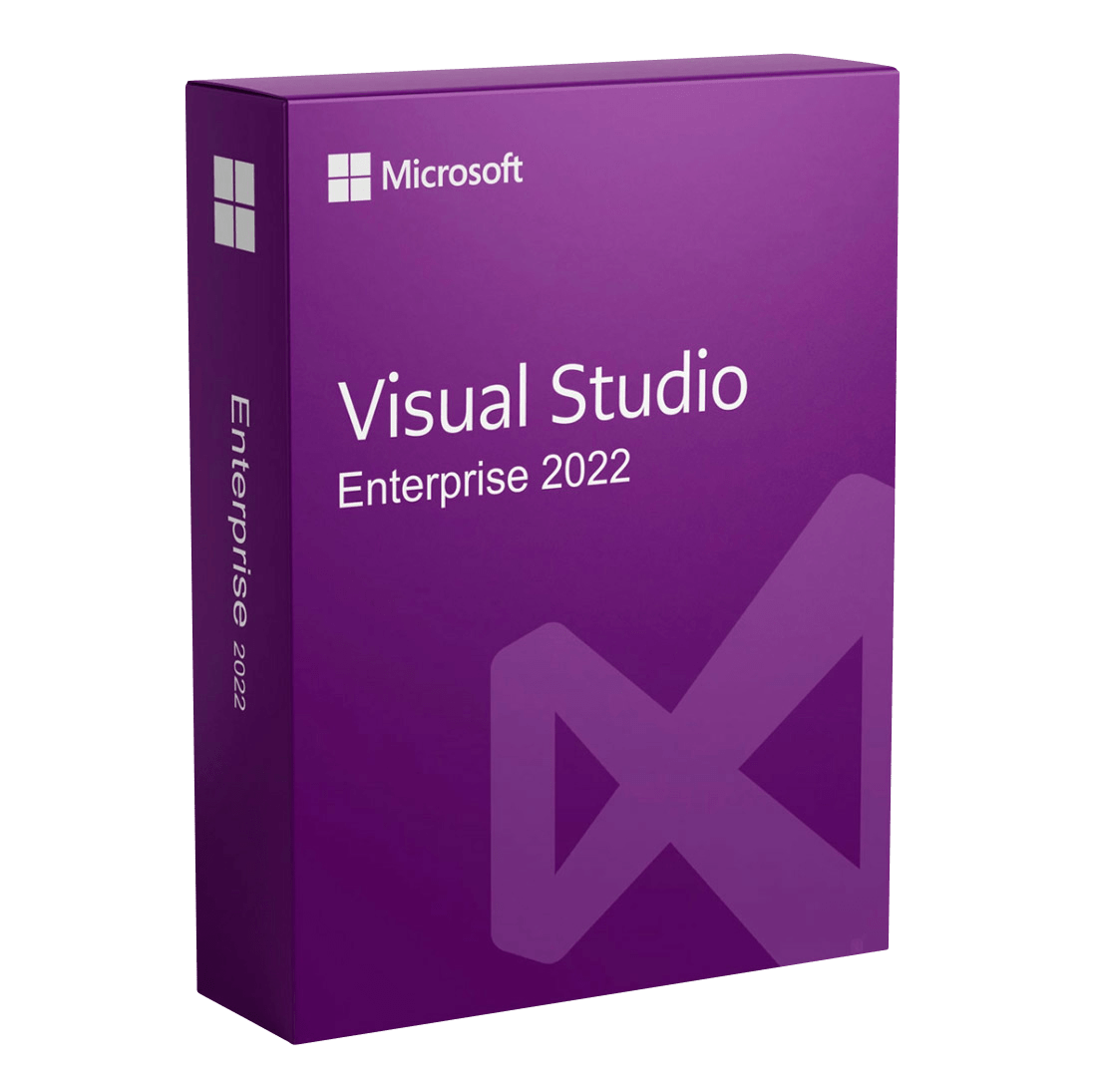 Microsoft Visual Studio Enterprise 2022 Licensel