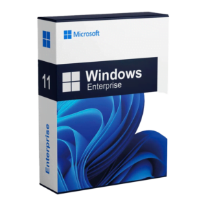 Microsoft Windows 11 Enterprise